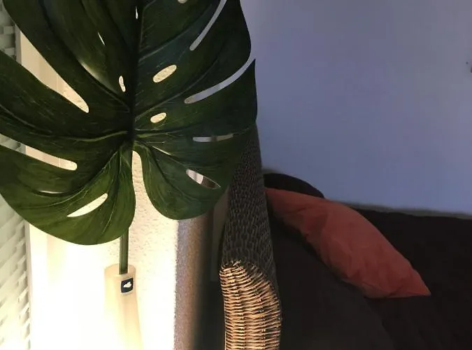 Grosses, Helles - Naehe Marburg & Giessen Fronhausen